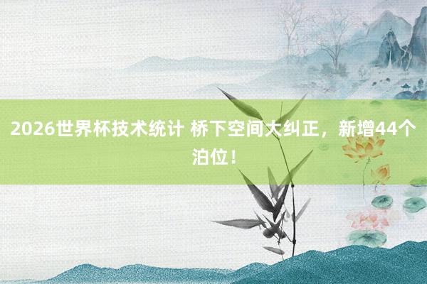 2026世界杯技术统计 桥下空间大纠正,新增44个泊位!