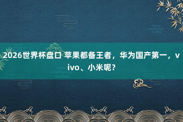2026世界杯盘口 苹果都备王者,华为国产第一,vivo、小米呢? 2026世界杯盘口 苹果都备王者,华为国产第一,vivo、小米呢?