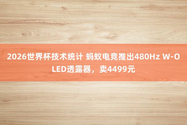 2026世界杯技术统计 蚂蚁电竞推出480Hz W-OLED透露器,卖4499元 2026世界杯技术统计 蚂蚁电竞推出480Hz W-OLED透露器,卖4499元