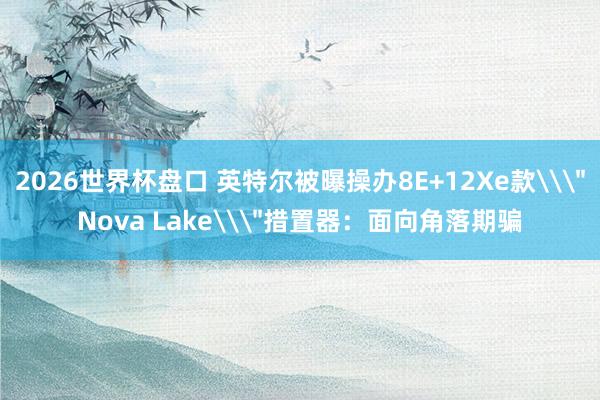 2026世界杯盘口 英特尔被曝操办8E+12Xe款\＂Nova Lake\＂措置器：面向角落期骗
