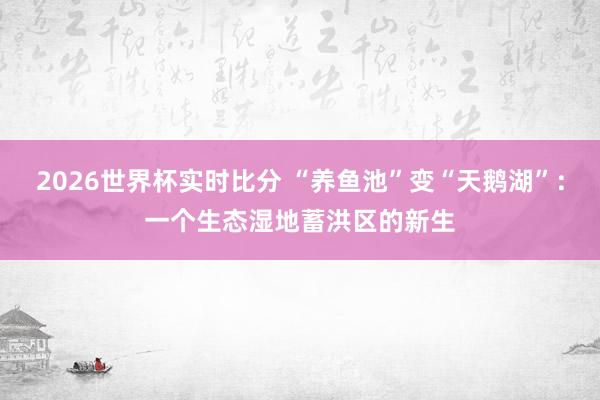 2026世界杯实时比分 “养鱼池”变“天鹅湖”:一个生态湿地蓄洪区的新生 2026世界杯实时比分 “养鱼池”变“天鹅湖”:一个生态湿地蓄洪区的新生