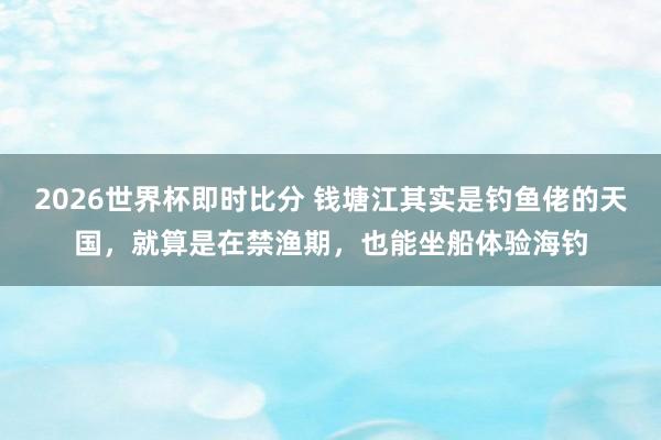 2026世界杯即时比分 钱塘江其实是钓鱼佬的天国,就算是在禁渔期,也能坐船体验海钓 2026世界杯即时比分 钱塘江其实是钓鱼佬的天国,就算是在禁渔期,也能坐船体验海钓
