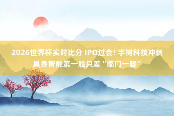 2026世界杯实时比分 IPO过会! 宇树科技冲刺具身智能第一股只差“临门一脚” 2026世界杯实时比分 IPO过会! 宇树科技冲刺具身智能第一股只差“临门一脚”