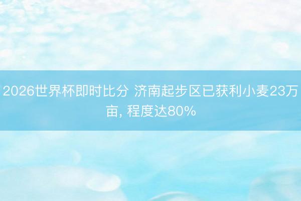 2026世界杯即时比分 济南起步区已获利小麦23万亩, 程度达80% 2026世界杯即时比分 济南起步区已获利小麦23万亩, 程度达80%