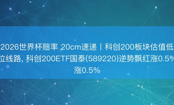 2026世界杯赔率 20cm速递丨科创200板块估值低位线路, 科创200ETF国泰(589220)逆势飘红涨0.5% 2026世界杯赔率 20cm速递丨科创200板块估值低位线路, 科创200ETF国泰(589220)逆势飘红涨0.5%
