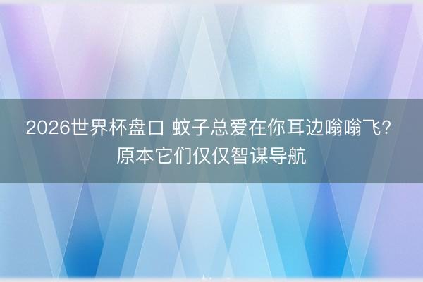 2026世界杯盘口 蚊子总爱在你耳边嗡嗡飞? 原本它们仅仅智谋导航 2026世界杯盘口 蚊子总爱在你耳边嗡嗡飞? 原本它们仅仅智谋导航