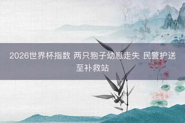 2026世界杯指数 两只狍子幼崽走失 民警护送至补救站 2026世界杯指数 两只狍子幼崽走失 民警护送至补救站
